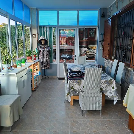 Topalli * 波格拉德茨