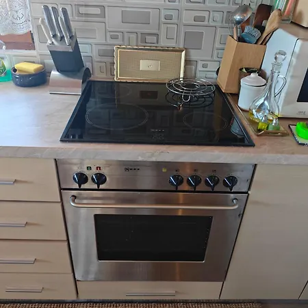 Πανσιόν Topalli Πόγραδετς