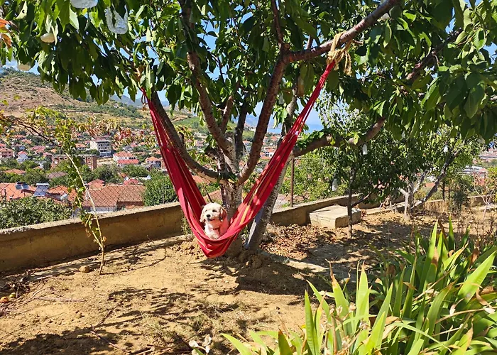 Topalli Affittacamere